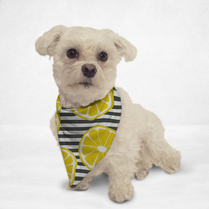 Fresh Lemons Cat & Dog Bandana